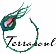 Terrasoul Herbs